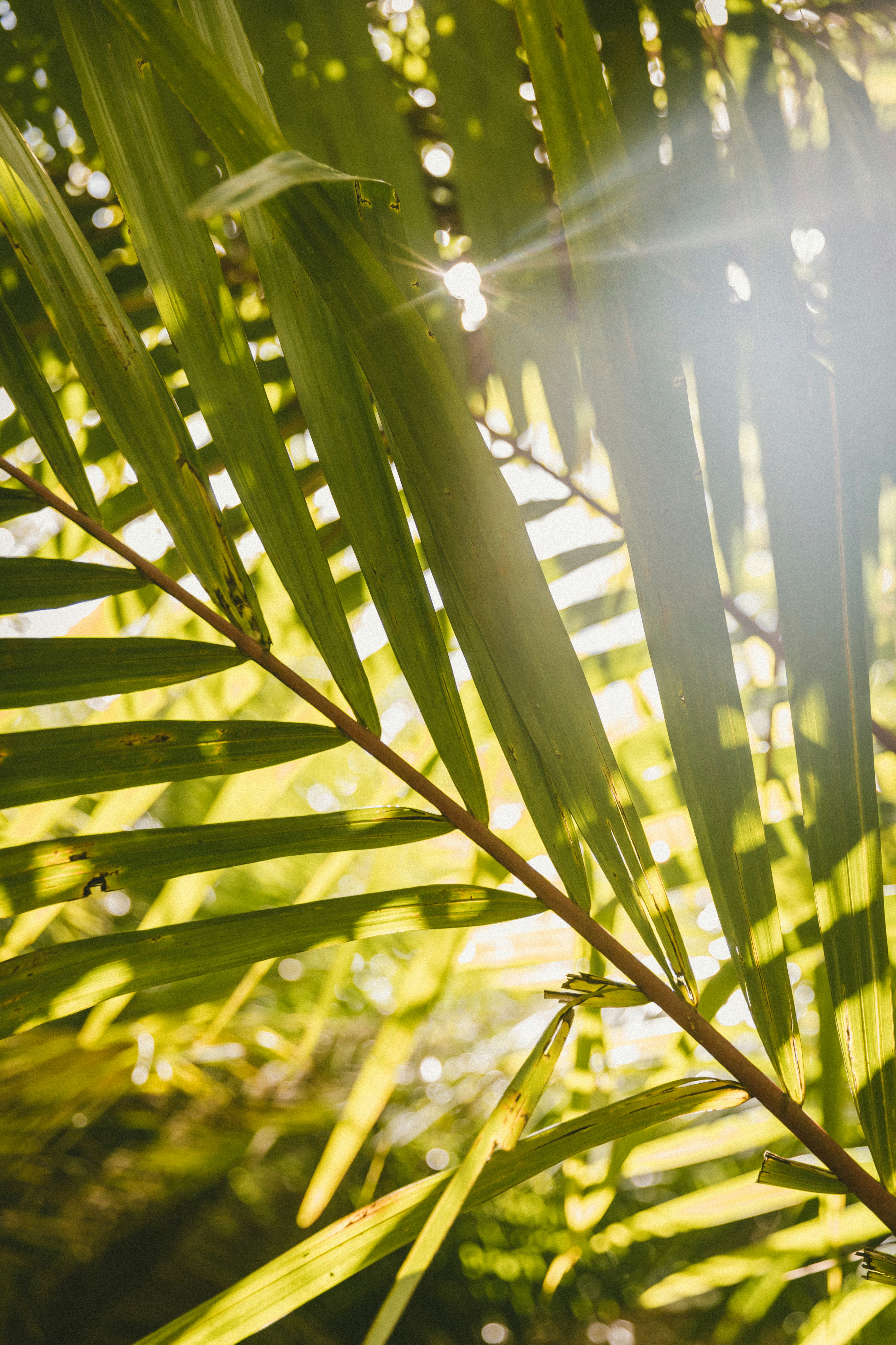 Photo by traviscolbert