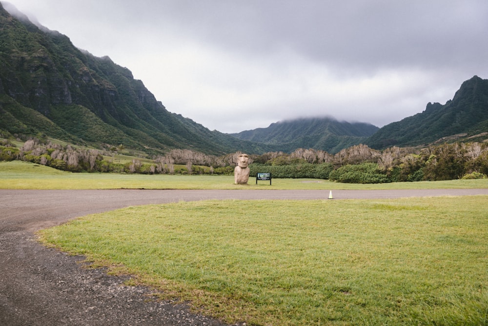 brown wooden house on green grass field near green mountains during daytime