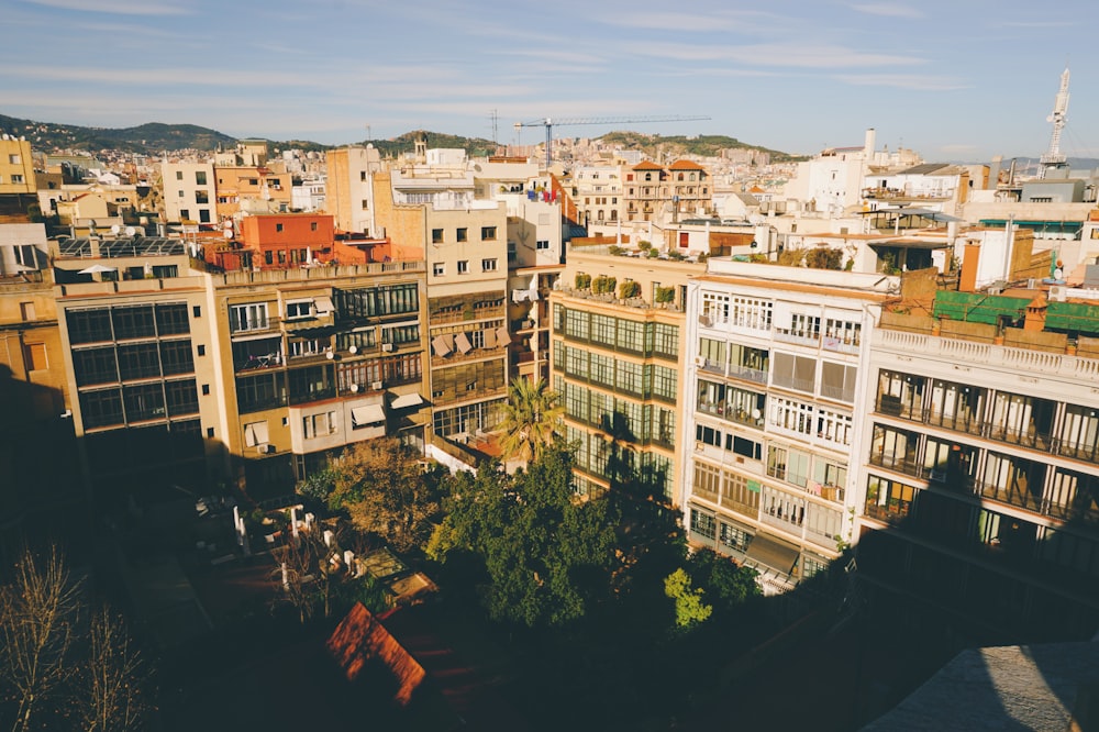 white and brown concrete buildings during daytime