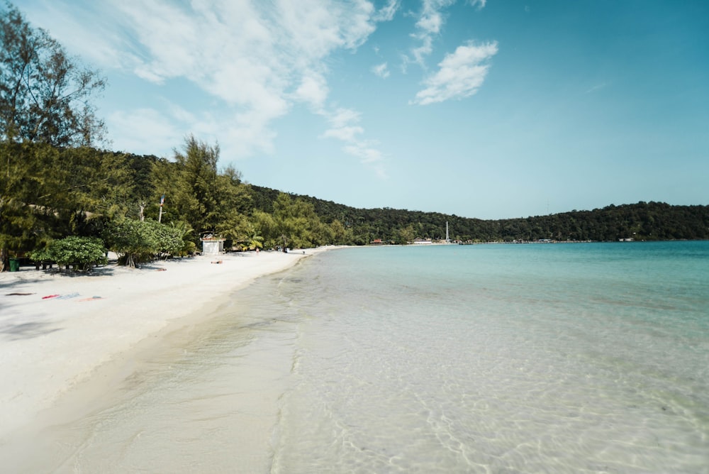 people on beach during daytime