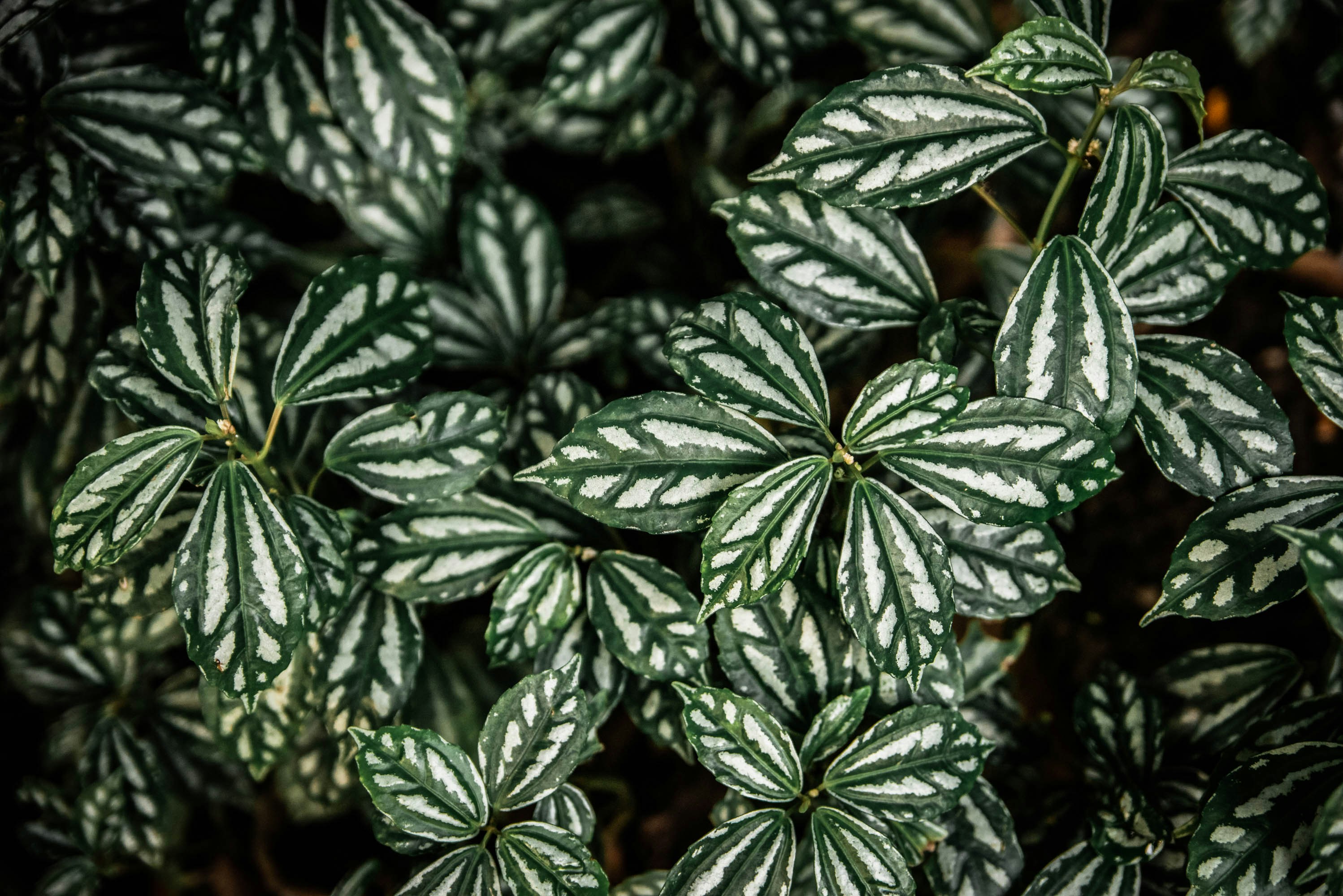 Photo by unefilleenvadrouille