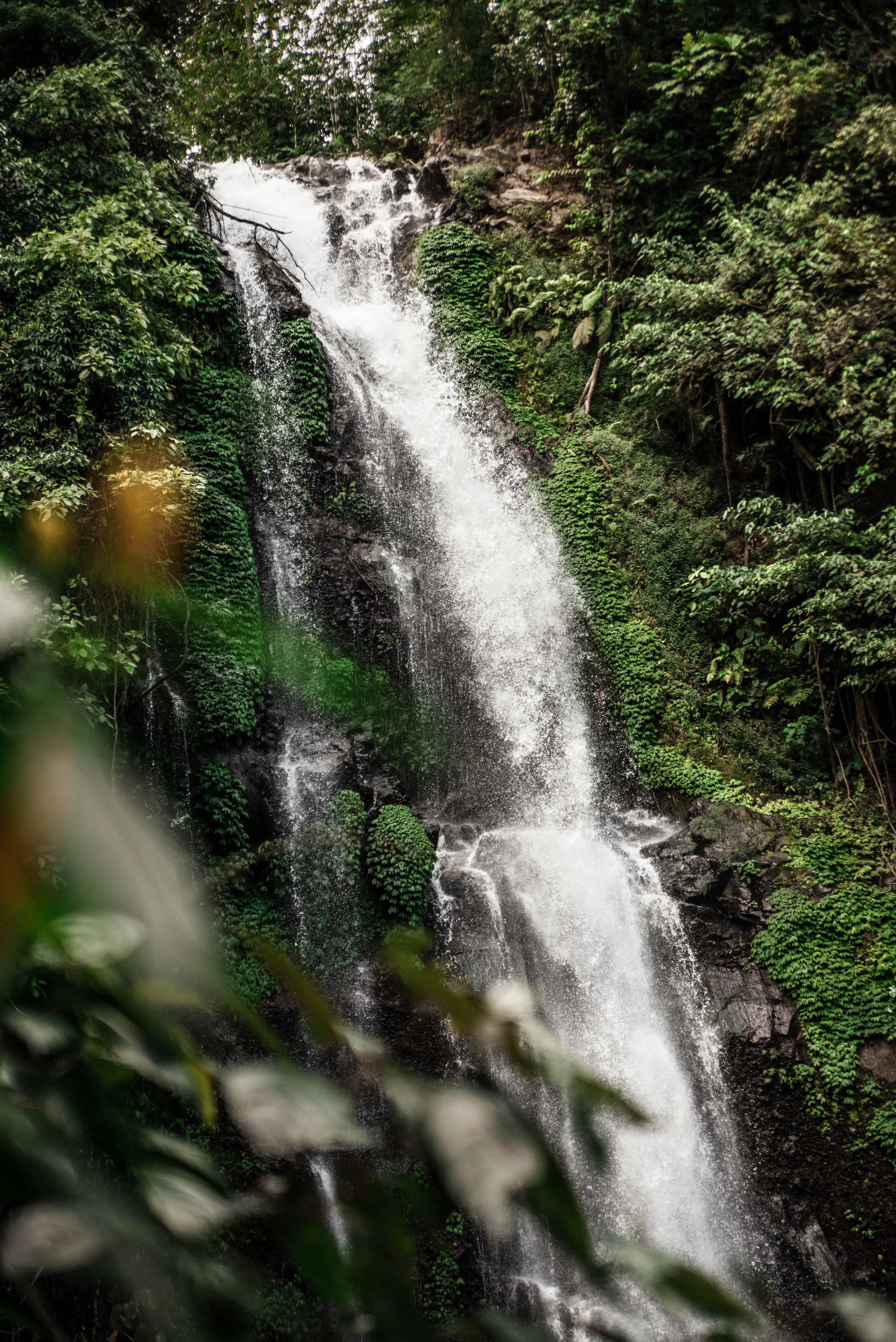 Melanting Waterfall near Munduk falling in a wide white cascade down a moss- and fern-covered rock face, framed by dark jungle leaves.