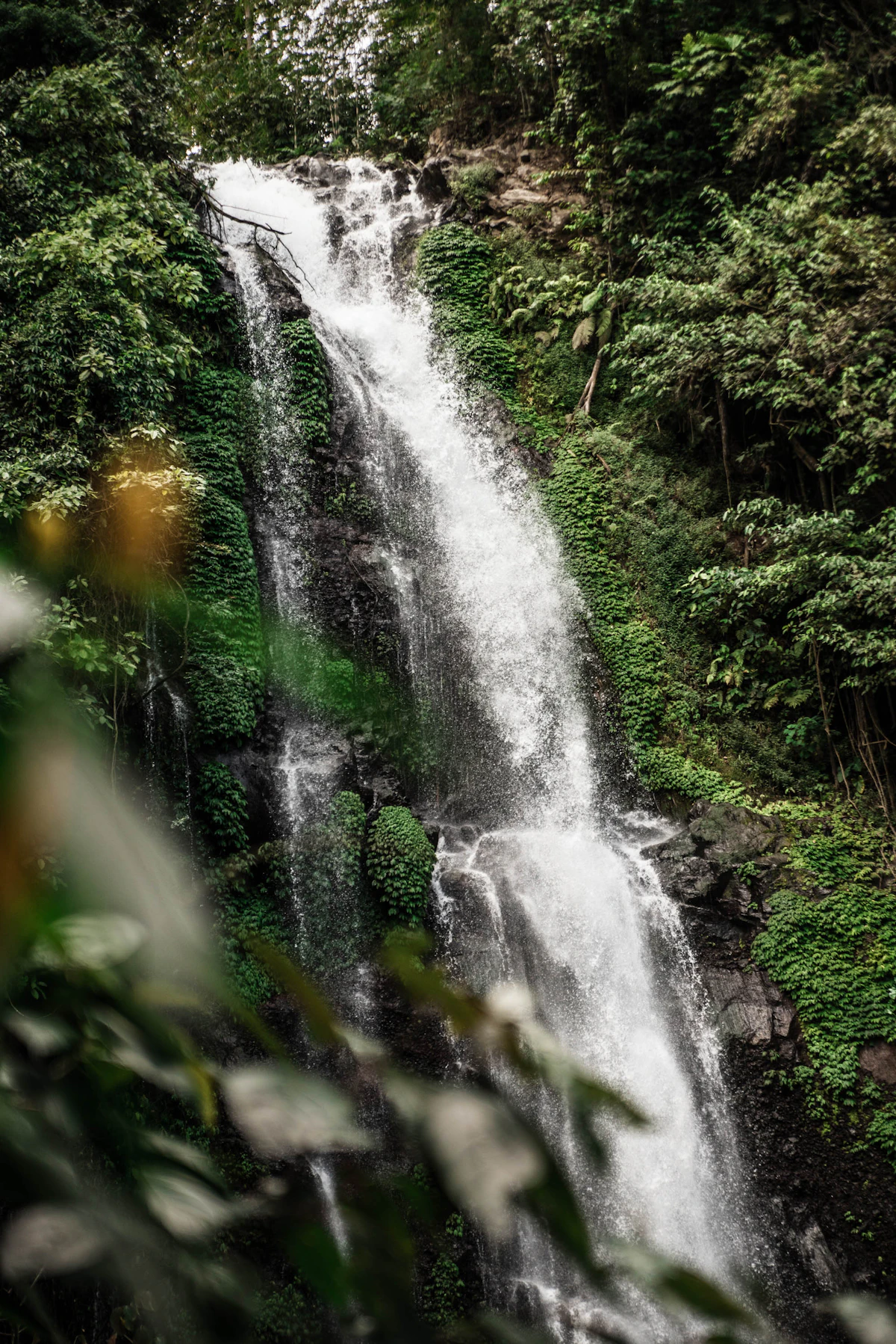 Munduk Golden Valley & Melanting Twin Waterfalls Rainforest Trek