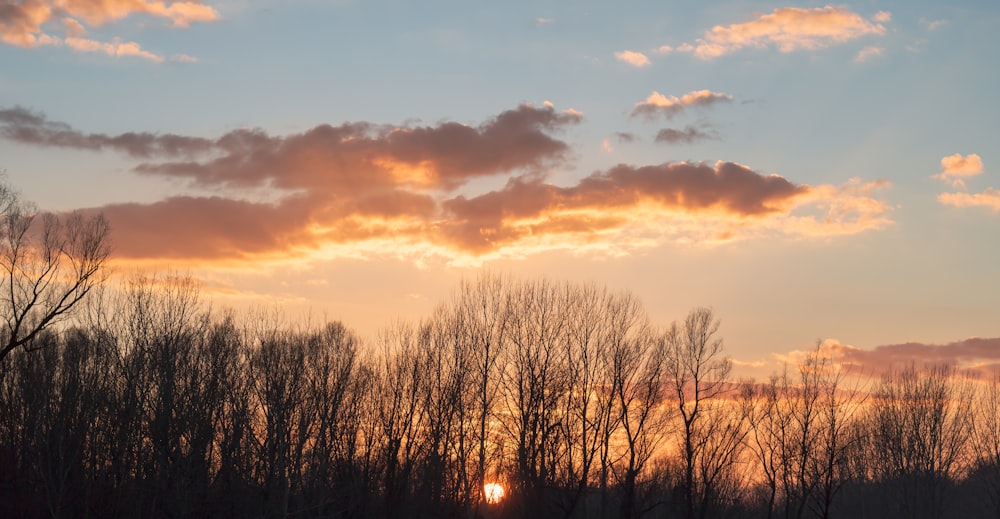 bare trees under cloudy sky during sunset