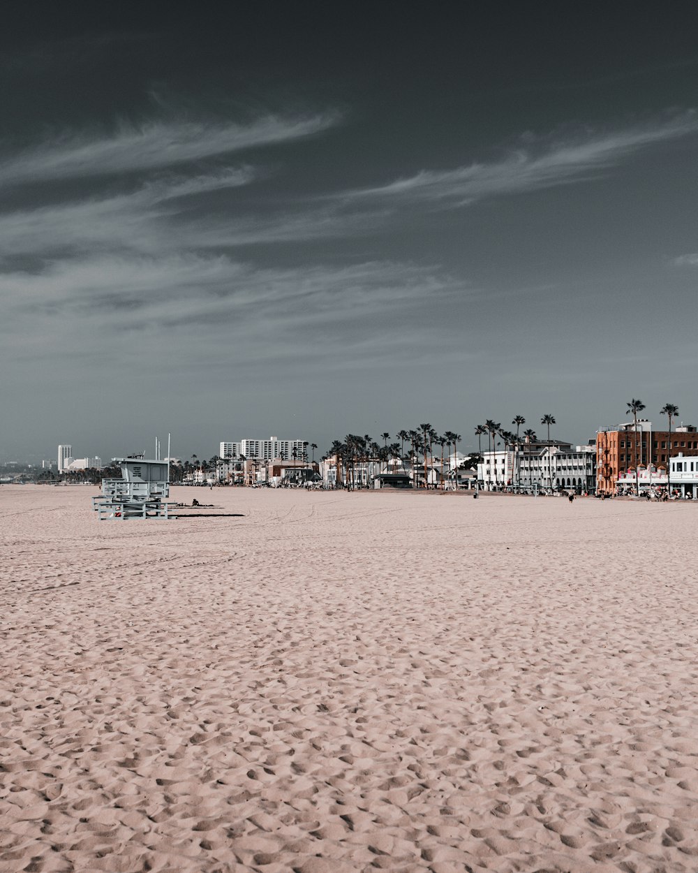 people on beach during daytime