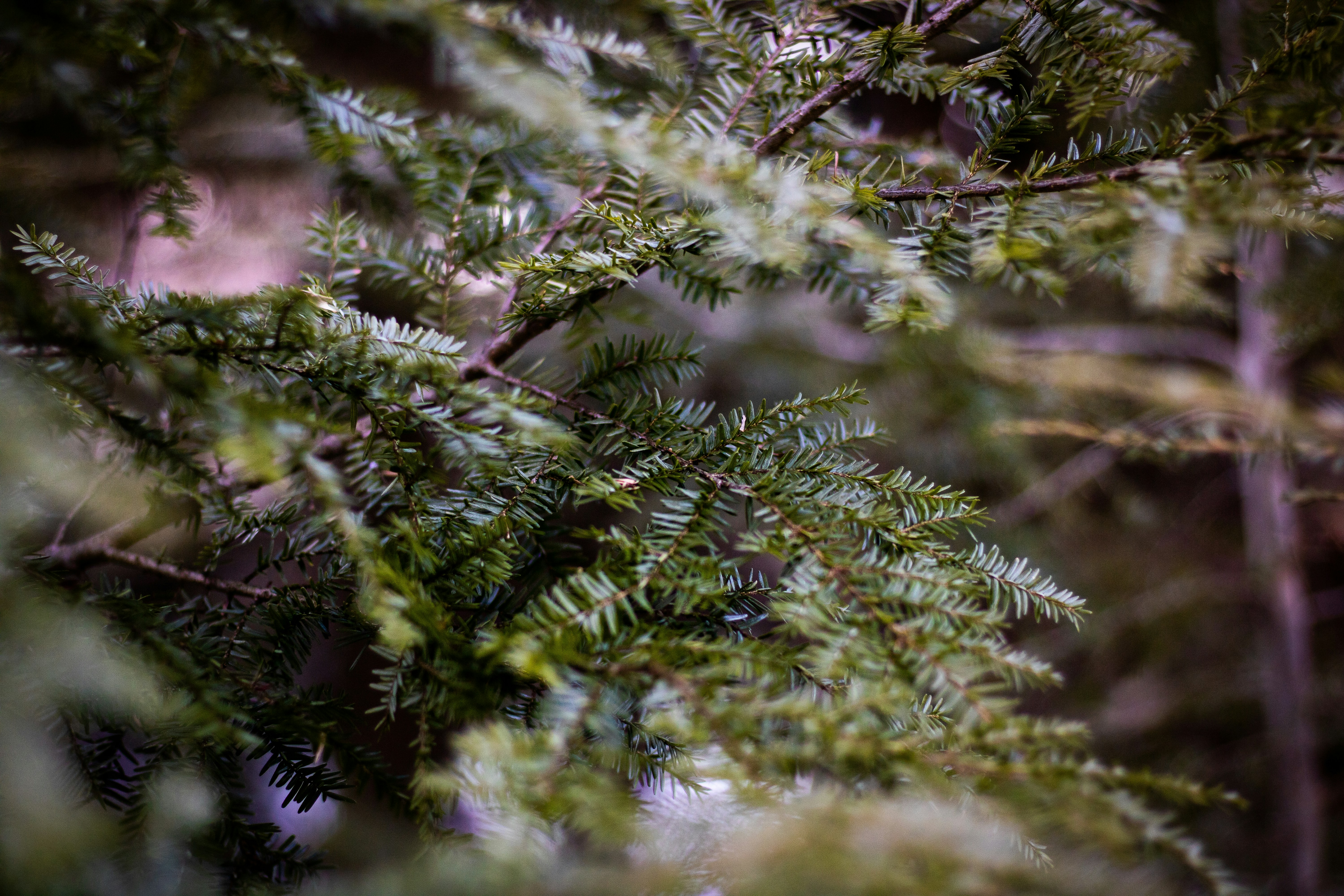 Photo by shafferluke