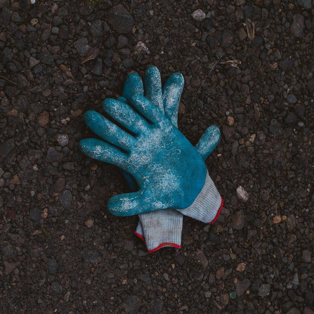 blue and gray gloves on black soil