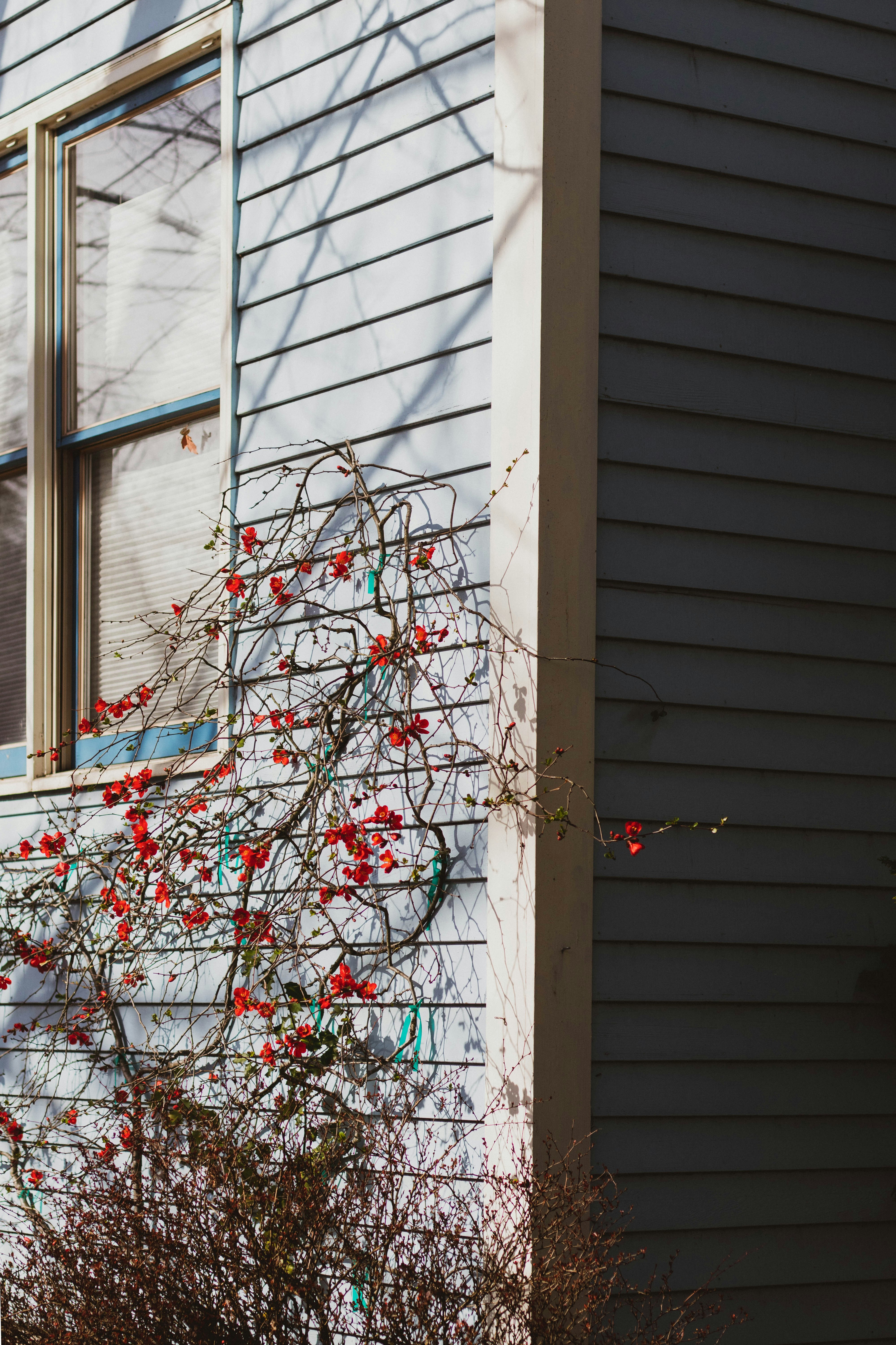 Photo by zacharykeimig