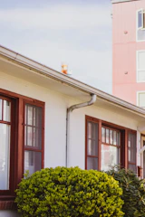 Close-up of a building consultant inspecting a property's exterior walls.