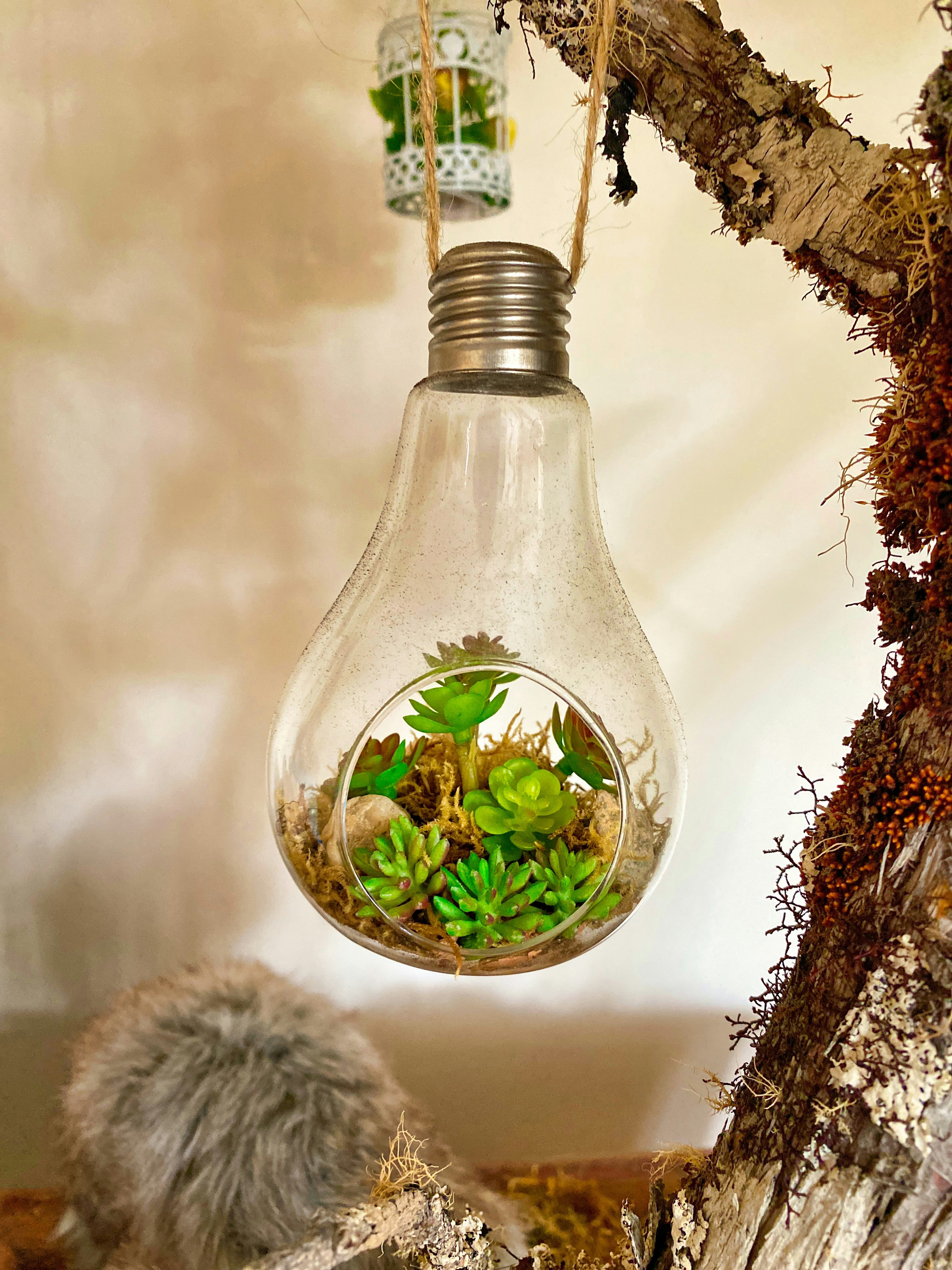 How Can I Be A Responsible Traveler In Terms Of Environmental Impact?