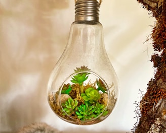 clear glass bottle with green leaves