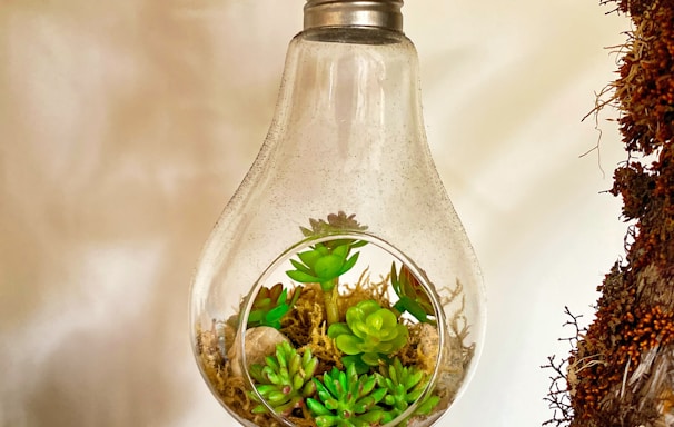 clear glass bottle with green leaves