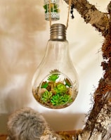 clear glass bottle with green leaves