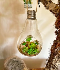 clear glass bottle with green leaves