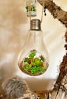 clear glass bottle with green leaves