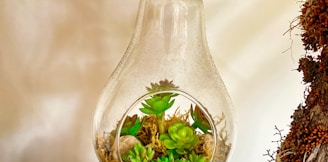 clear glass bottle with green leaves