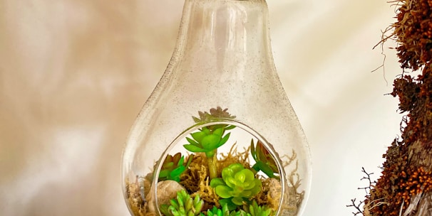 clear glass bottle with green leaves