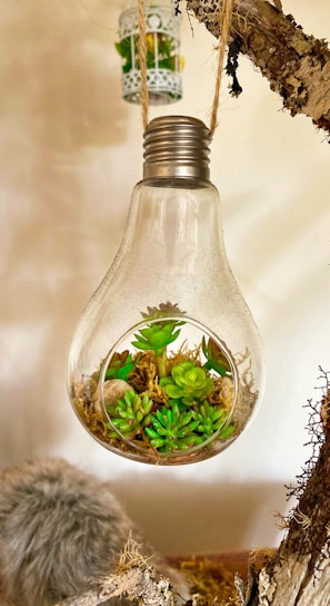 clear glass bottle with green leaves