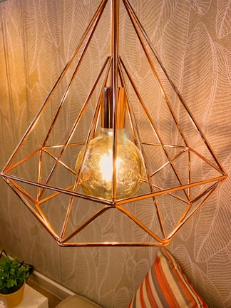 gold pendant lamp turned on near green plant