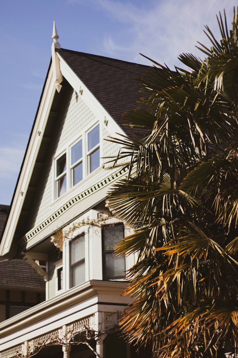 Palmera verde al lado de la casa de madera blanca