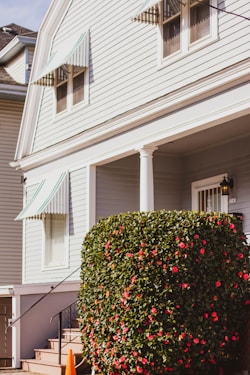 A well-maintained exterior of a house with light-colored siding and green-and-white striped awnings above the windows. A large, neatly trimmed shrub with numerous red flowers is positioned near the entrance, next to a small set of stairs leading to the front door. The bright sunlight casts soft shadows, suggesting a clear day.