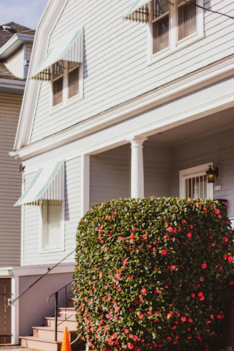 House exterior freshly painted in bright red, white, and blue with clean lines and smooth finish.