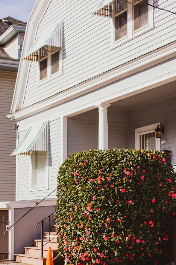 A neat driveway and clean exterior walls of a well-maintained home.