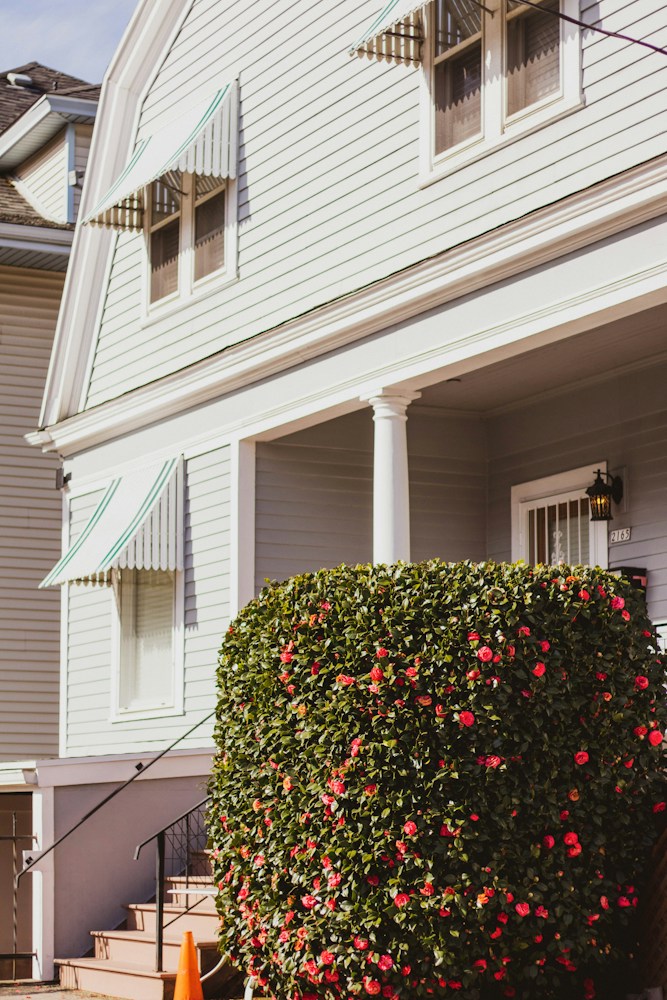 A house porch with windows, an awning and flowering plants.