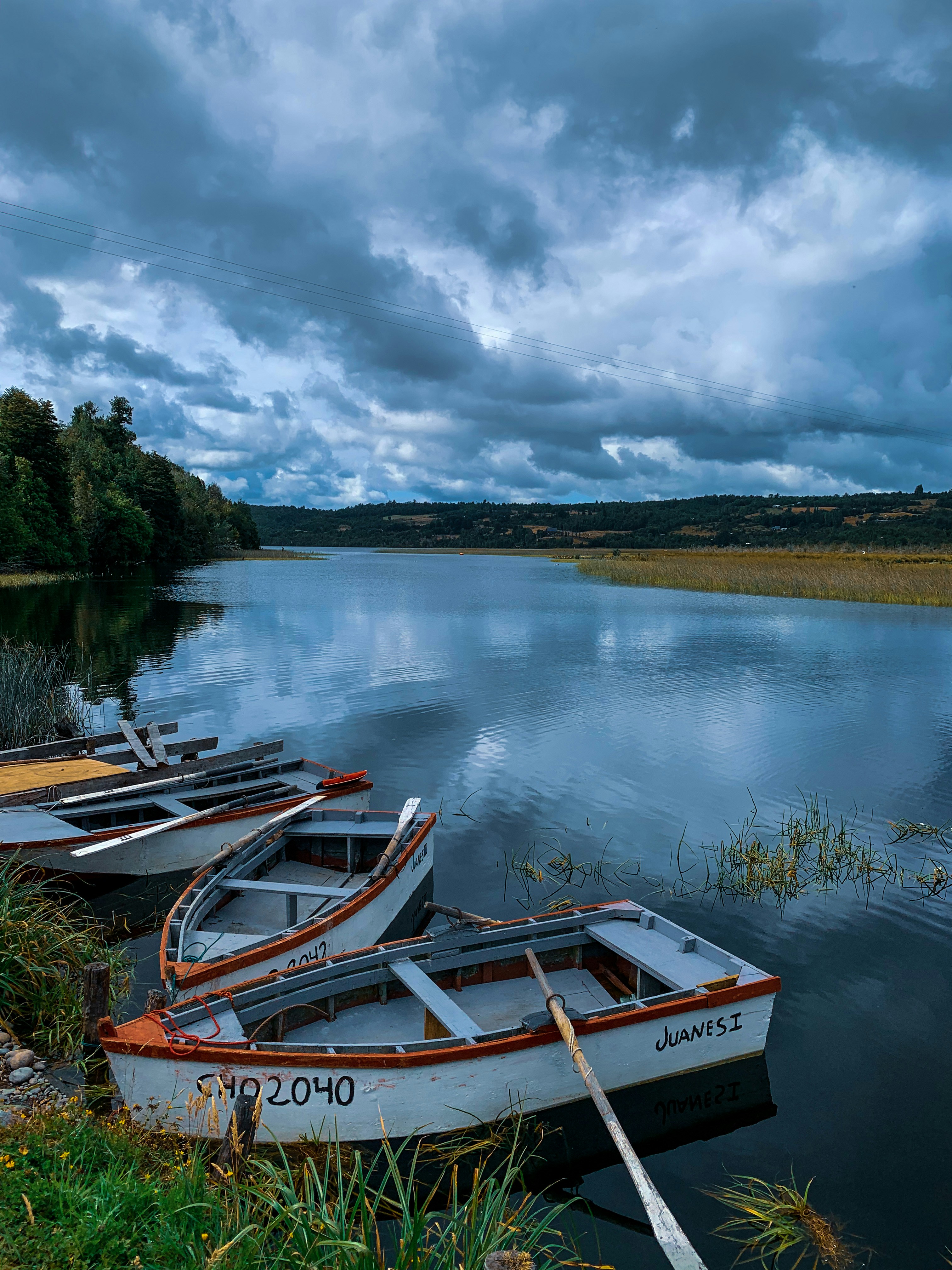 Photo by isalmon