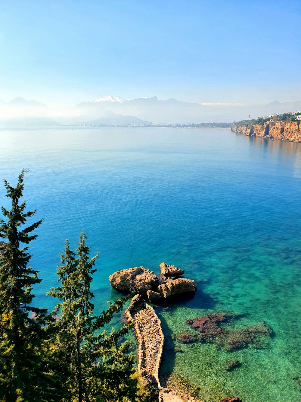 árvores verdes na formação rochosa marrom perto do mar azul durante o dia