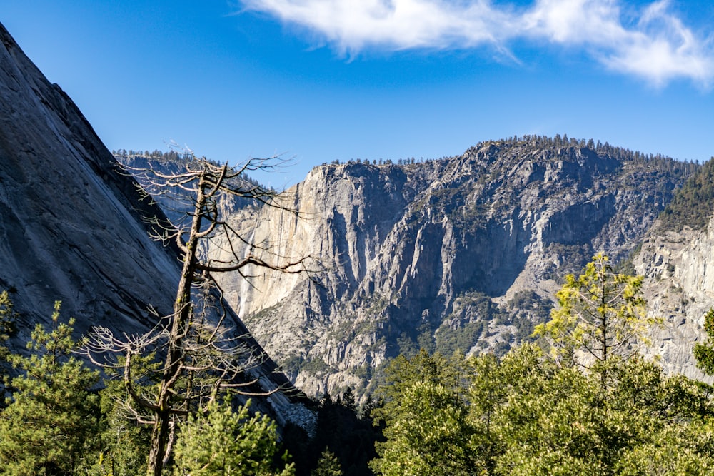 a view of a mountain with trees and mountains in the background