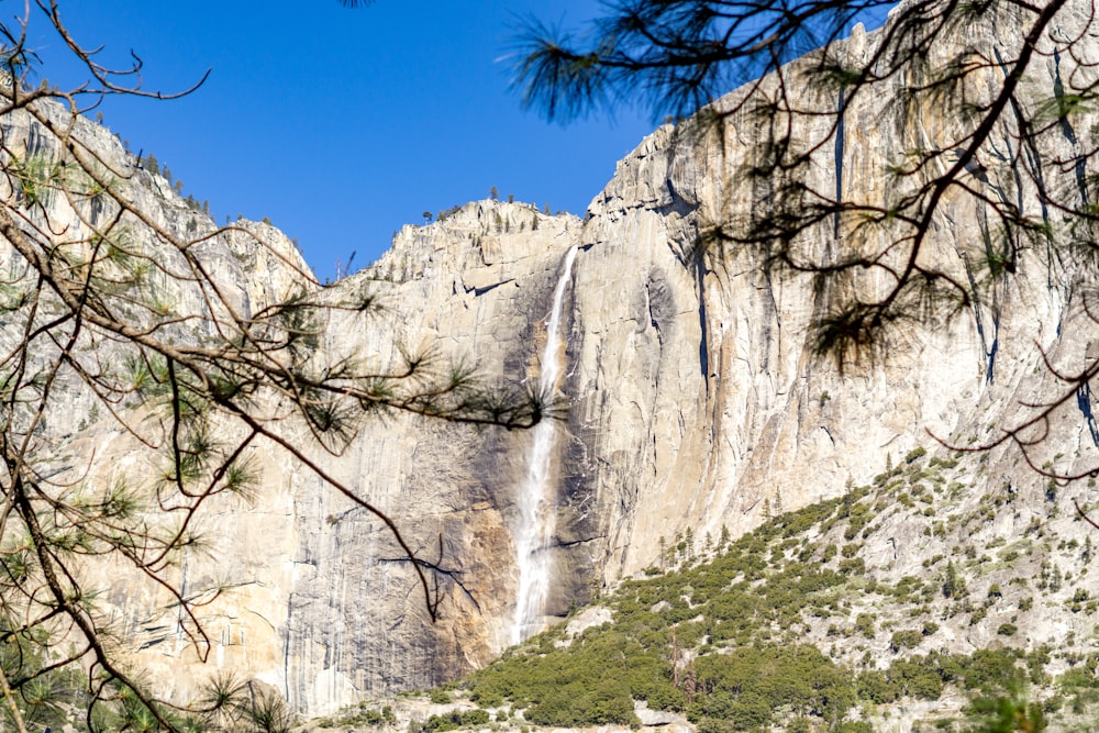 green grass and gray rocky mountain under blue sky during daytime