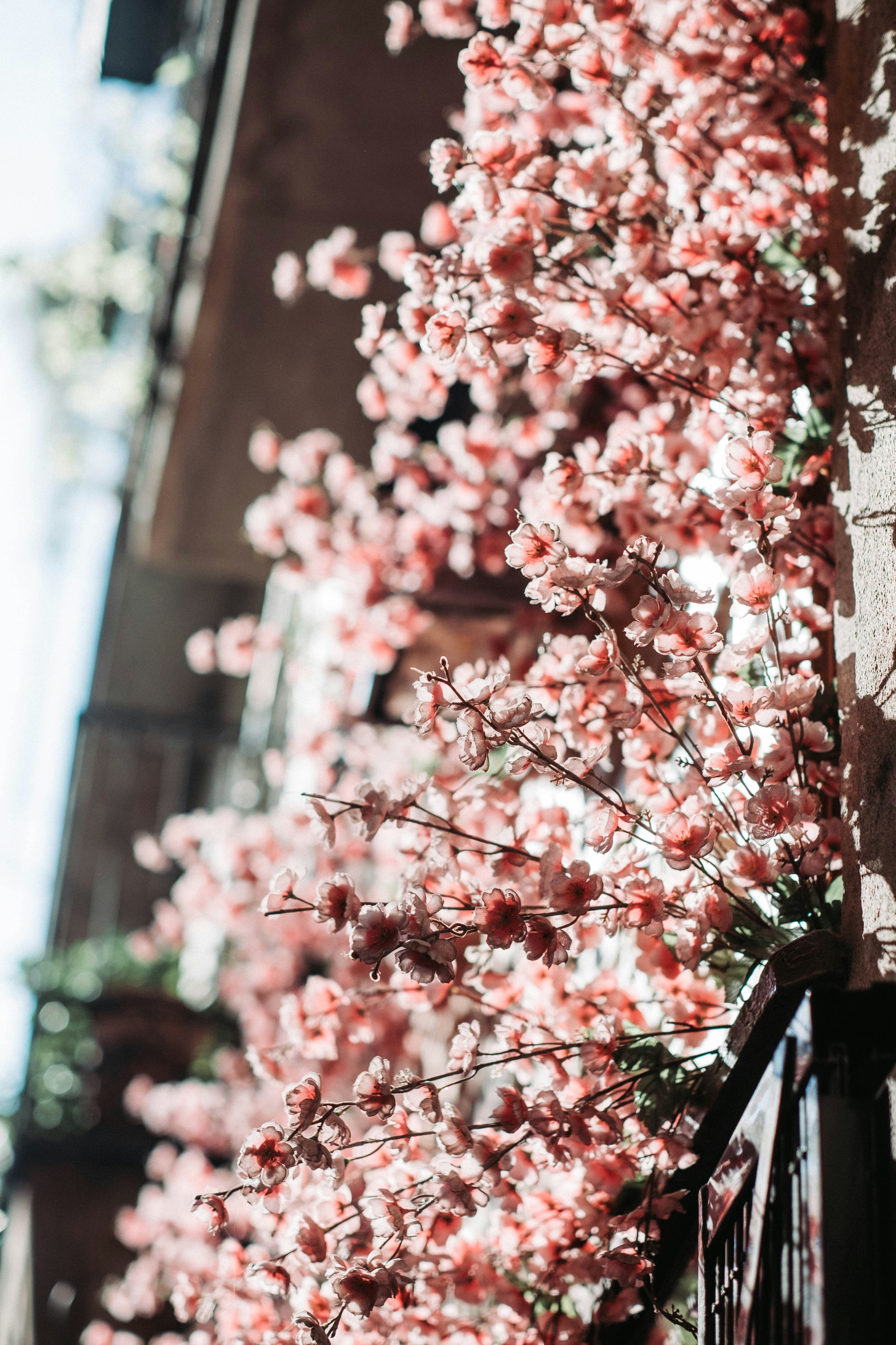 Photo by michael_exploring