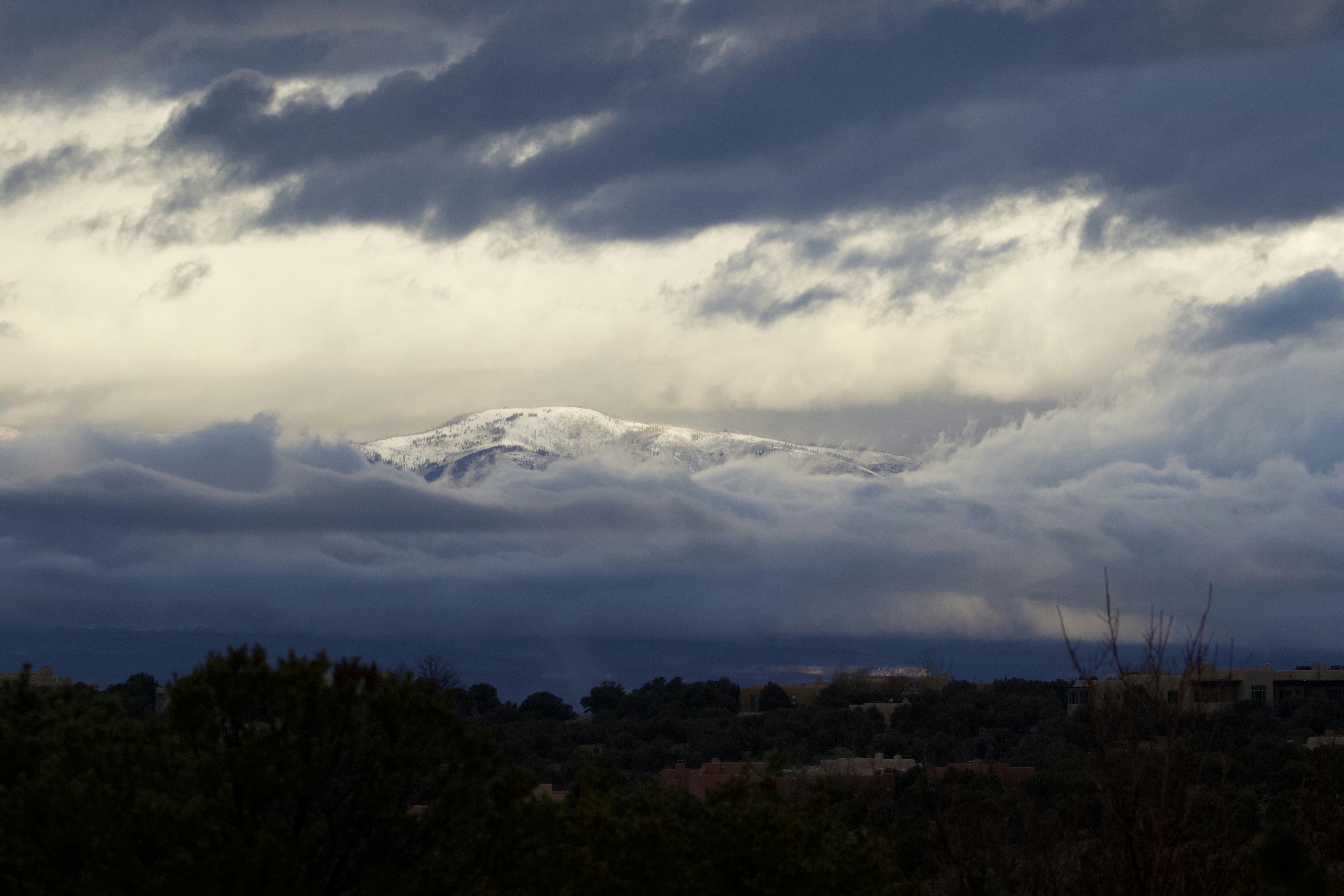 Arbres verts et nuages blancs pendant la journée