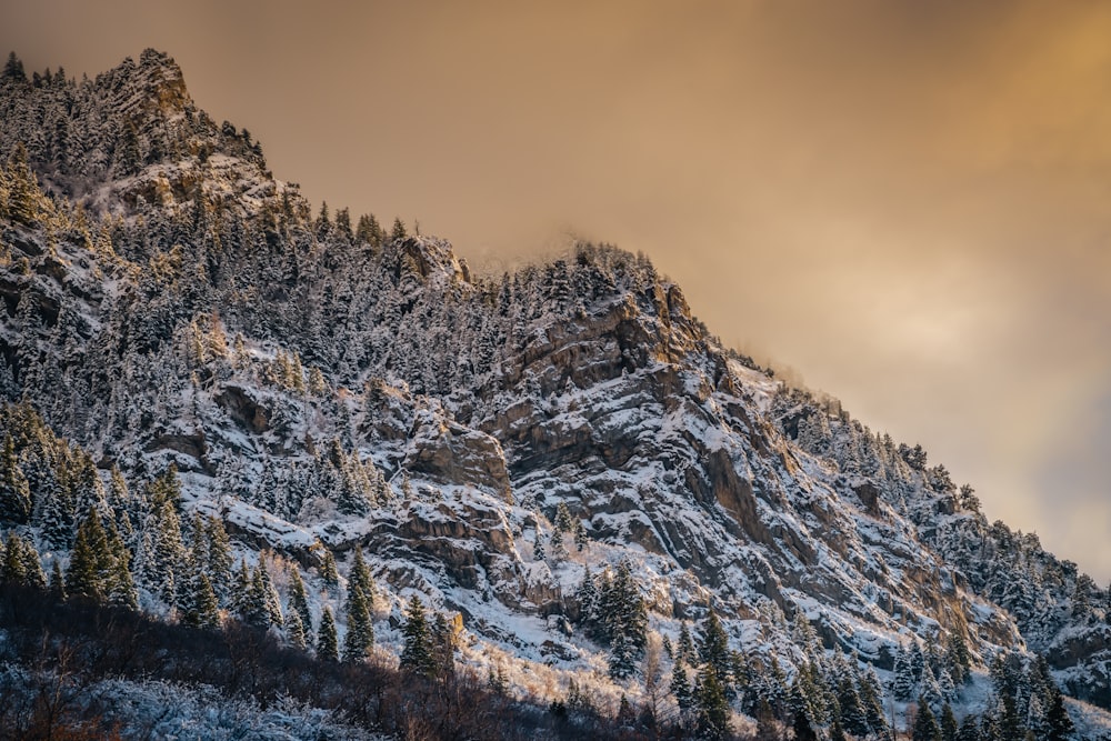 snow covered mountain during daytime