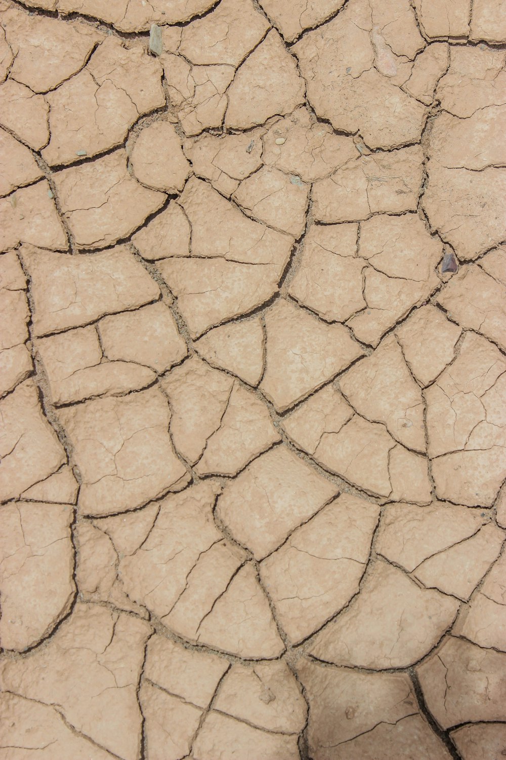 brown and gray concrete floor