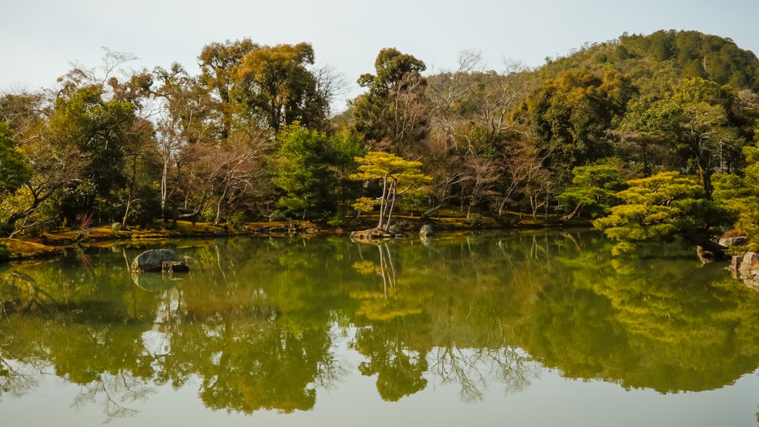 Nature reserve photo spot Kinkakujicho Osaka