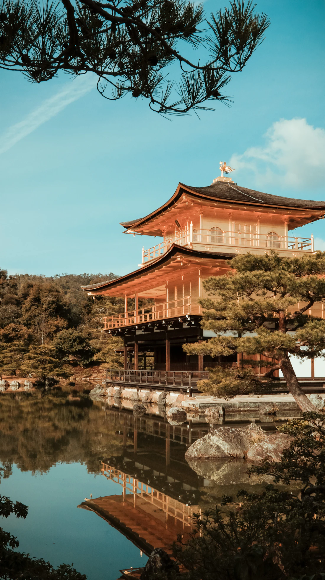 The Golden Pavilion of Kinkaku-ji among autumn trees in Kyoto, Japan