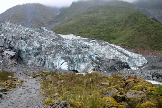 green grass and white snow covered mountain during daytime in Fox Glacier New Zealand