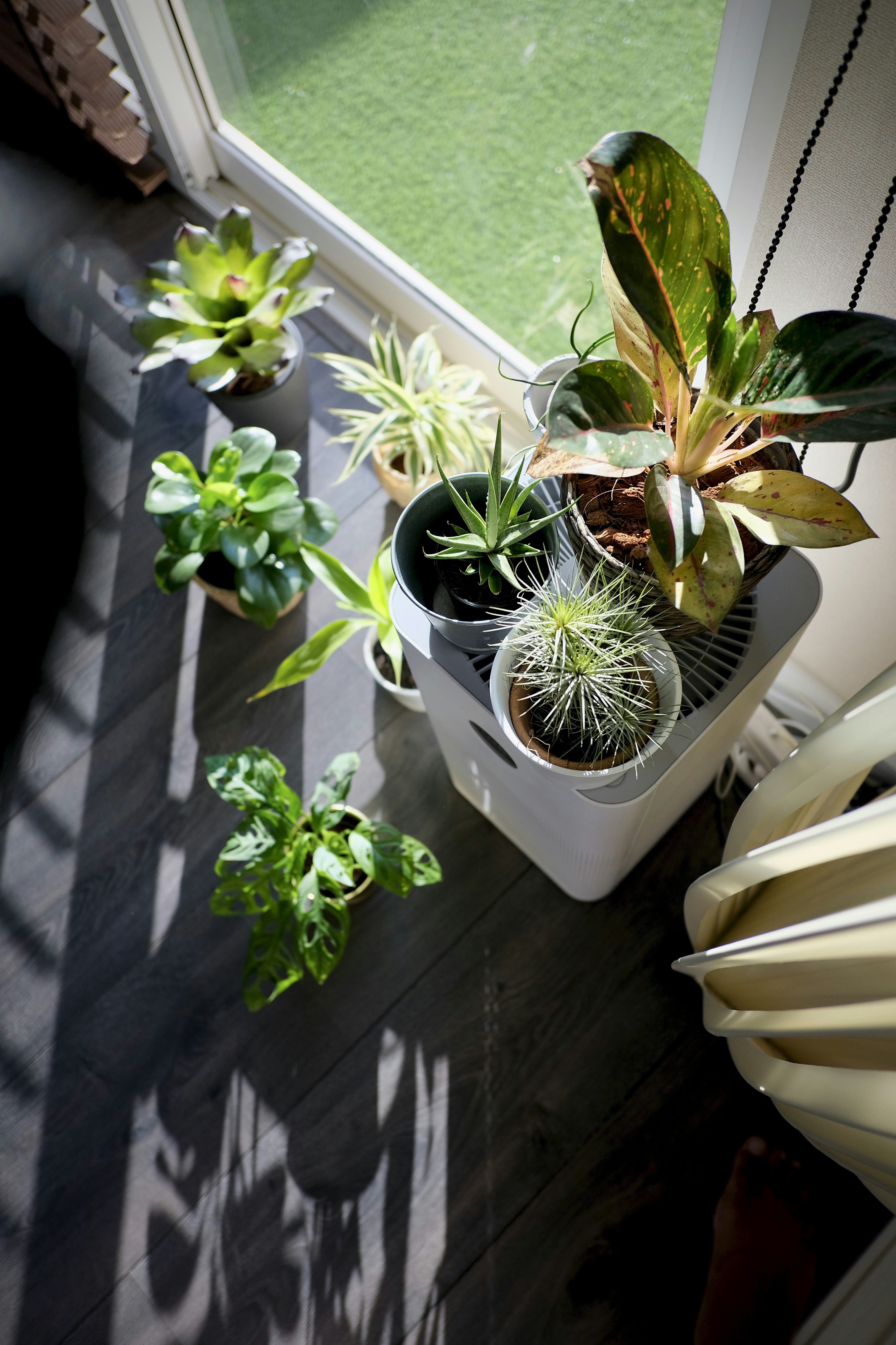 Photo by potofgold07