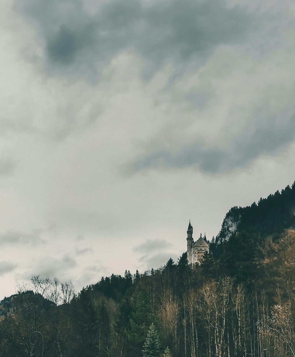 green trees under cloudy sky during daytime