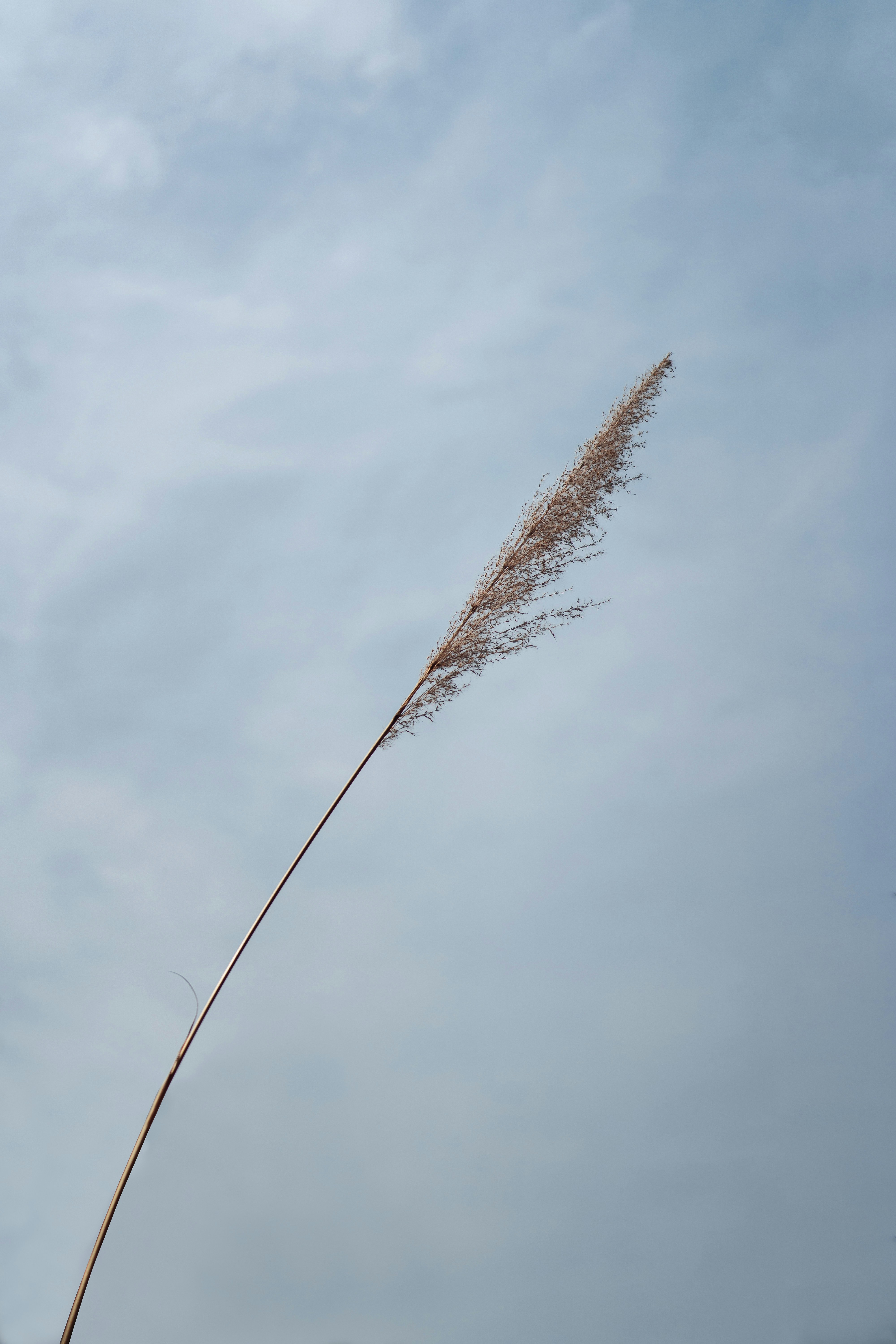 Photo by chengfengrecord