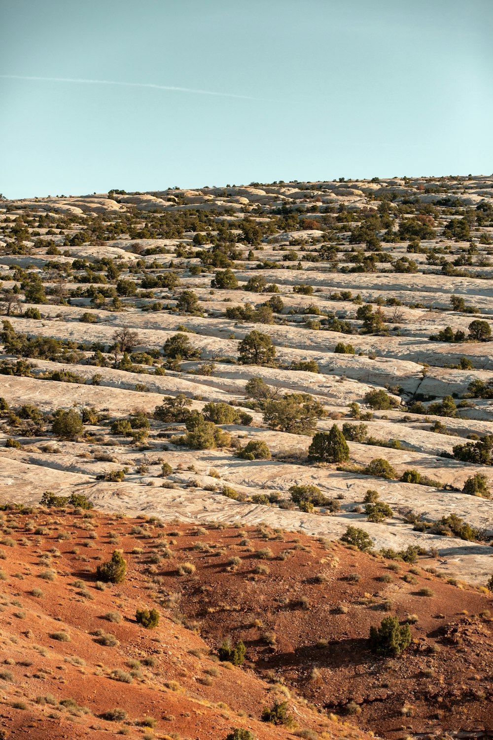 brown and gray rocks on brown field during daytime