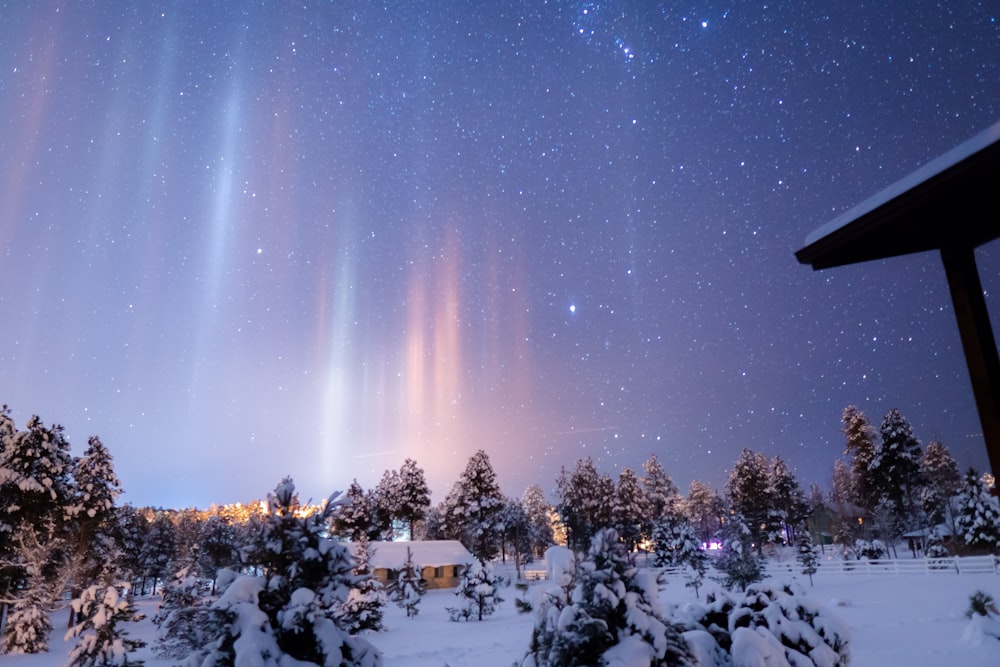 people sitting on snow covered ground under starry night