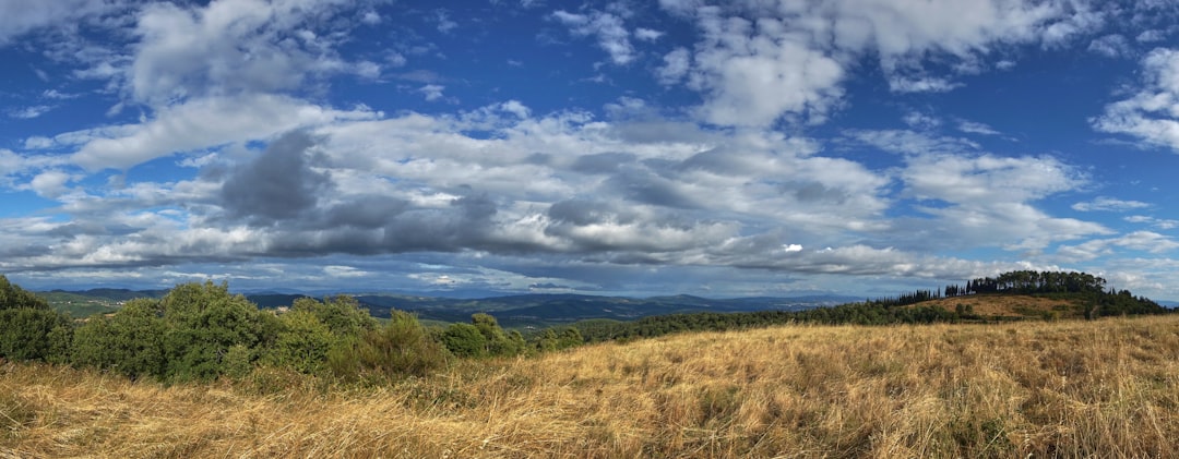 green grass field under blue sky and white clouds during daytime