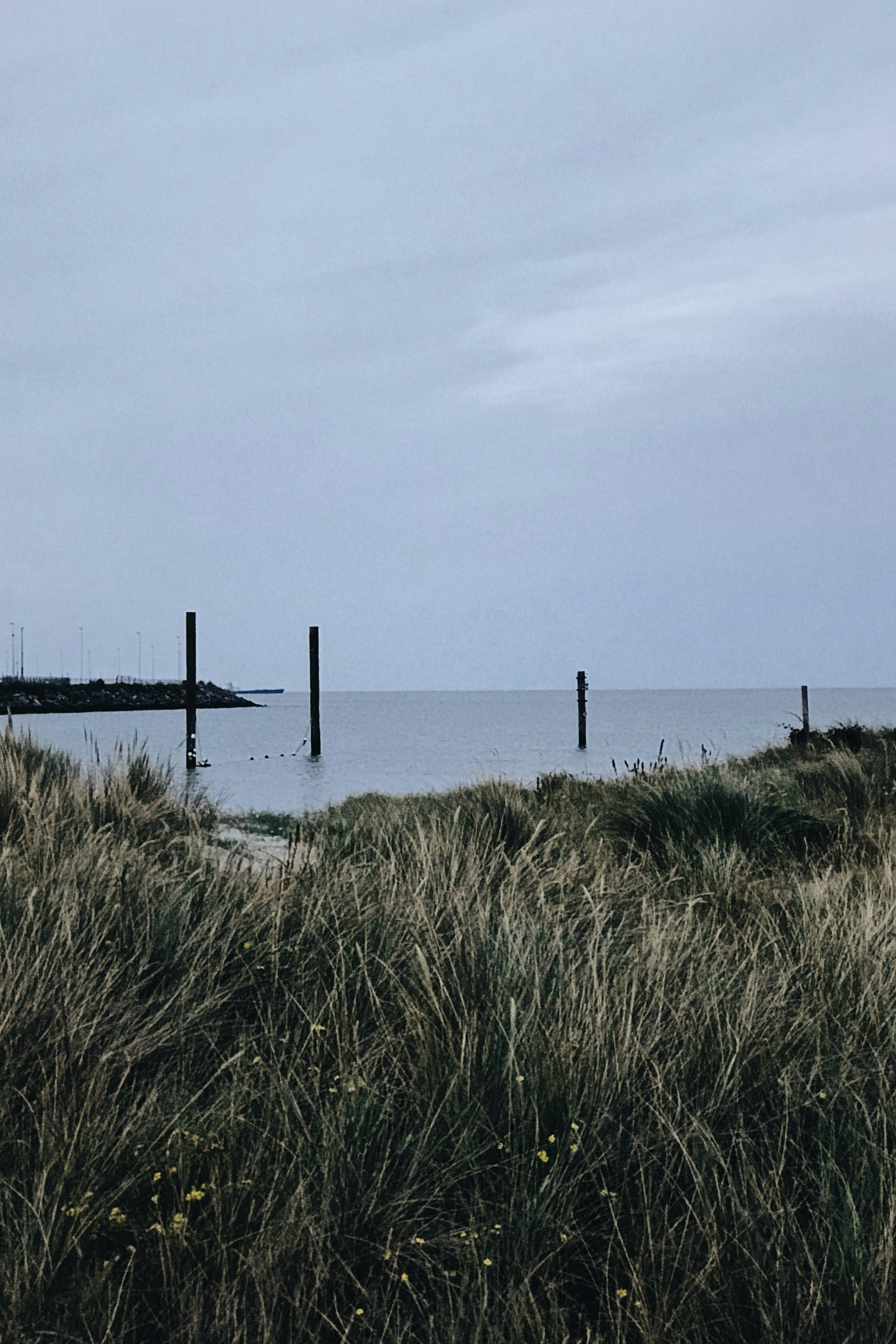 Brown wooden dock on sea under white sky during daytime photo – Free ...
