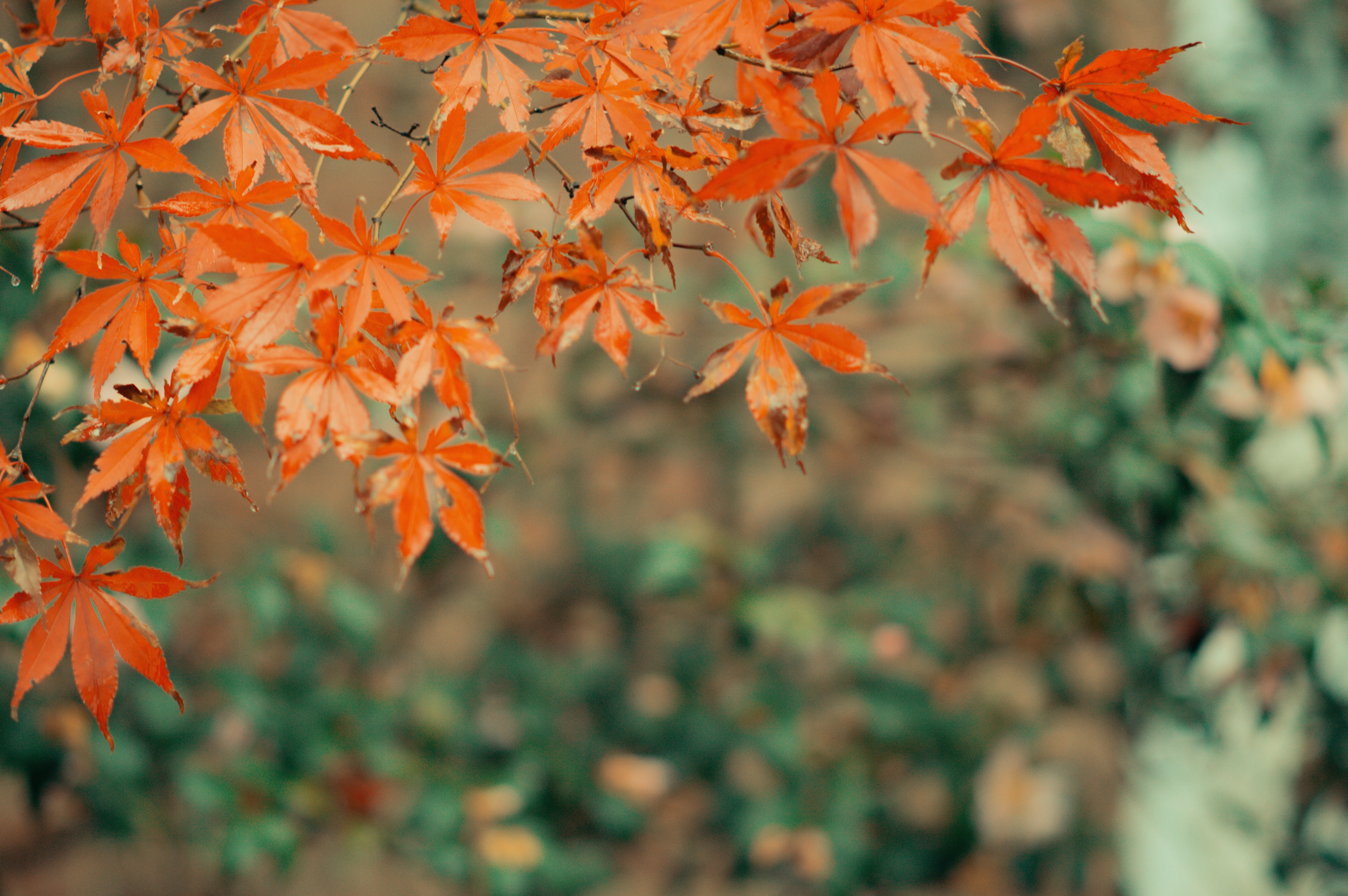 Photo by smwallday