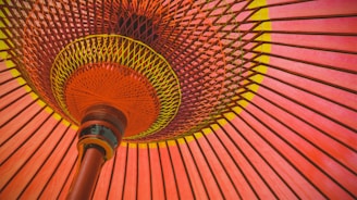 10 Asian Content Trends 2024