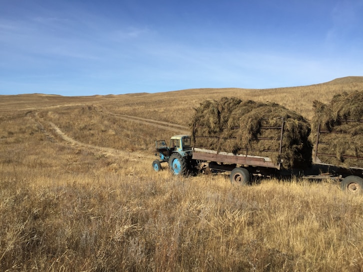 A tractor with blue wheels is towing two trailers filled with hay bales across a vast, open field of dry grass. The landscape is mostly flat, with rolling hills in the background under a clear blue sky.