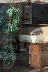 A bathroom setting is visible, featuring a white ceramic basin on a wooden cabinet. There is a large, leafy green plant beside the cabinet. Reflections on the glass suggest this is a window display, with outdoor elements visible, such as trees and a pavement.